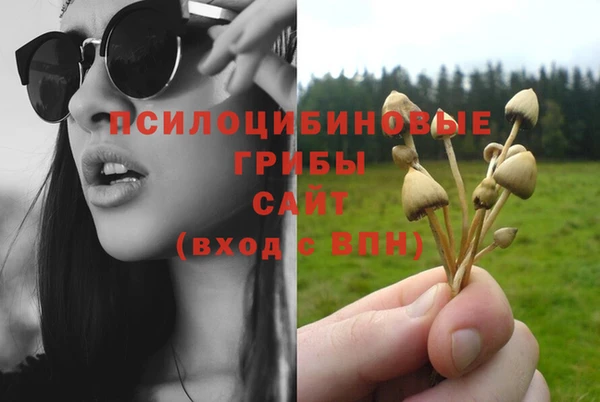 каннабис Корсаков