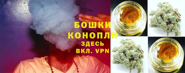 каннабис Корсаков
